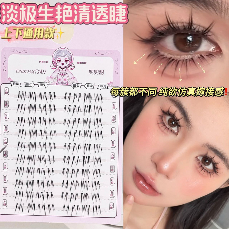 Beauty Makeup Tool Collection - Korean Style Natural Looking False Eyelashes
